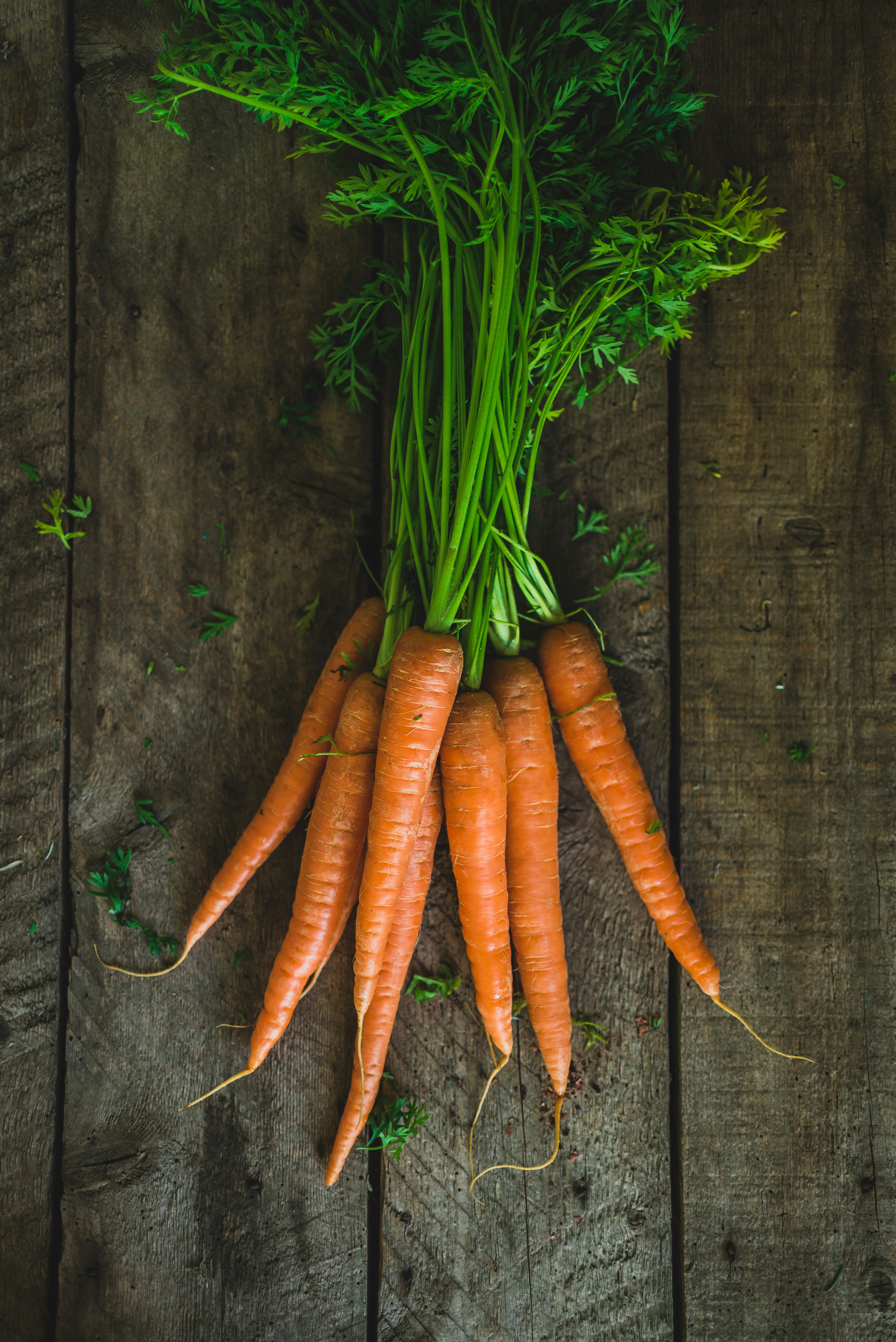 Naranja + Zanahoria